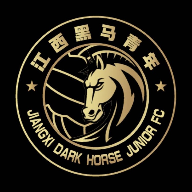 官方：江西黑馬青年完成異地遷移程序，更名為溫州職業(yè)足球俱樂部